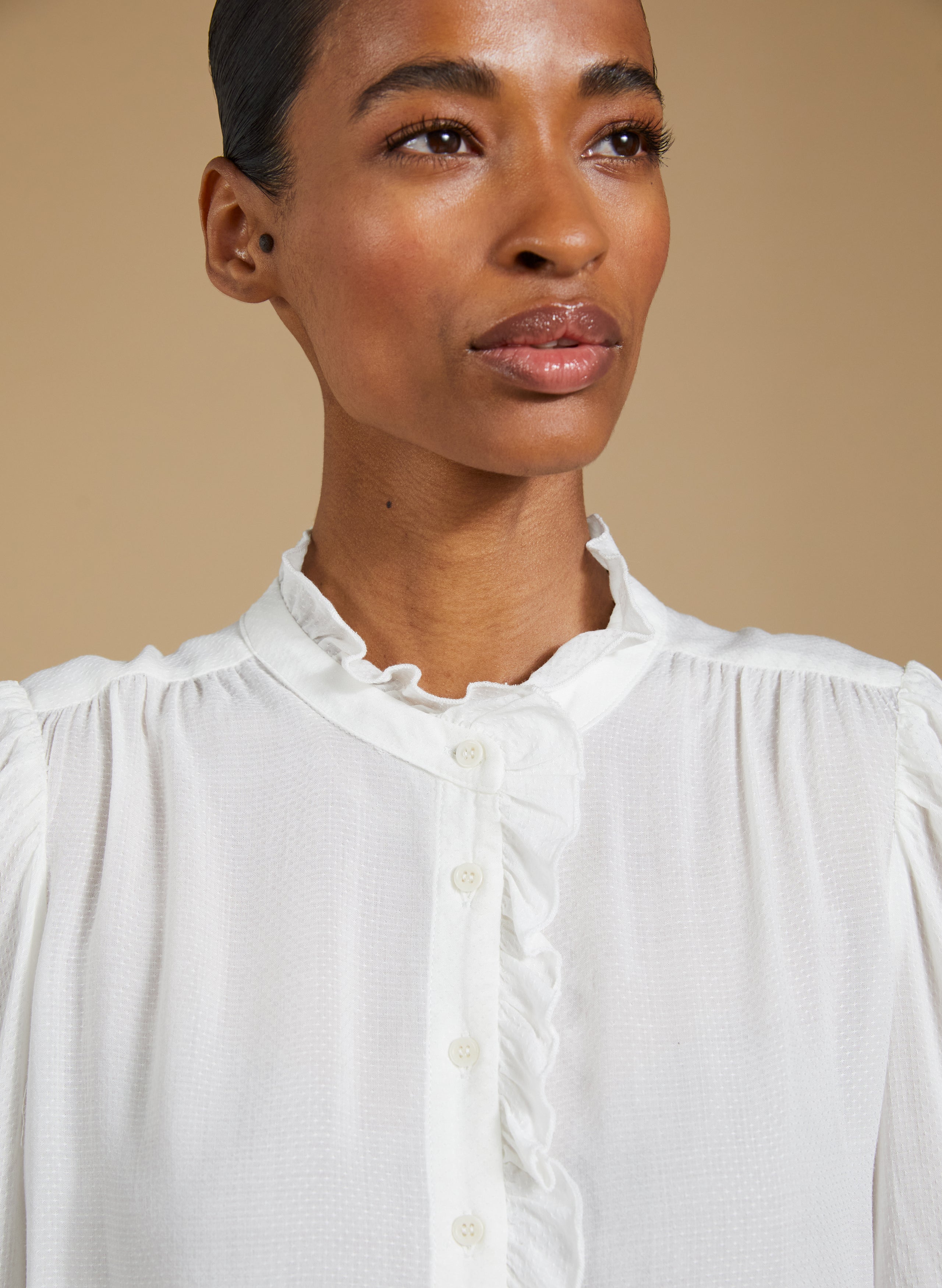 Aurora Frill Neck Sheer Blouse 5 Aurora Frill Neck Sheer Blouse