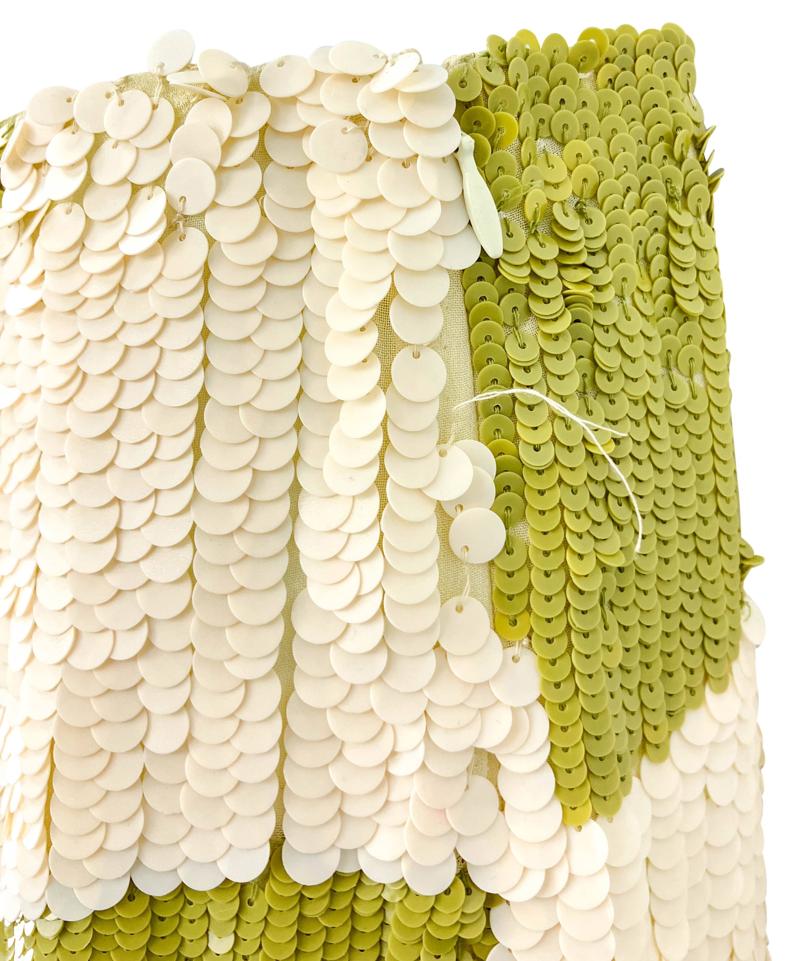 Dries Van Noten Sequin Midi Skirt in Cream and Green